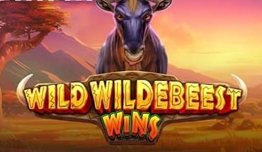 Wild Wildebeest Wins